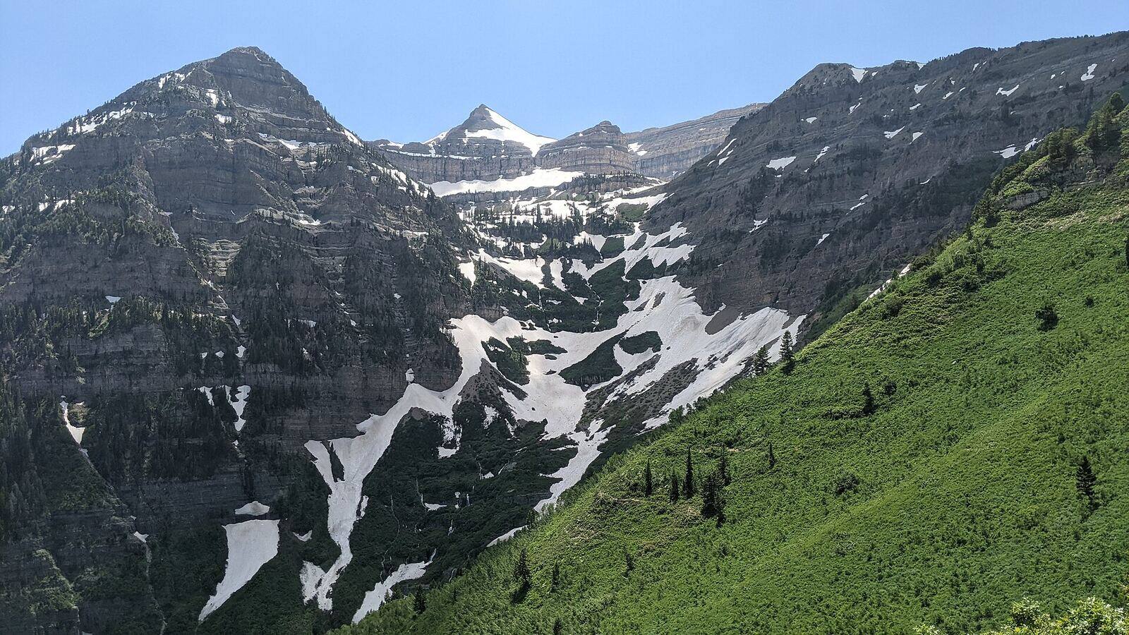 Mount Timpanogos rising above green slopes in the Wasatch Range